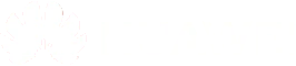 huawei_loogo